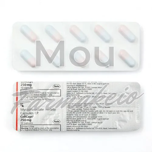 mycophenolate mofetil (μοφετίλη μυκοφαινολάτη) χωρίς ιατρική συνταγή